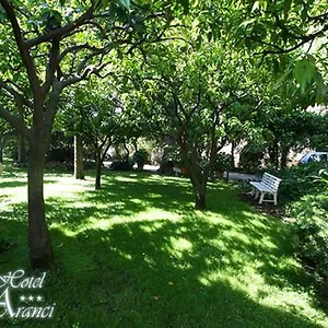 Hotel Degli Aranci ***